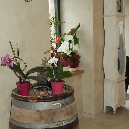 Tatil Evi Les Du Couvent